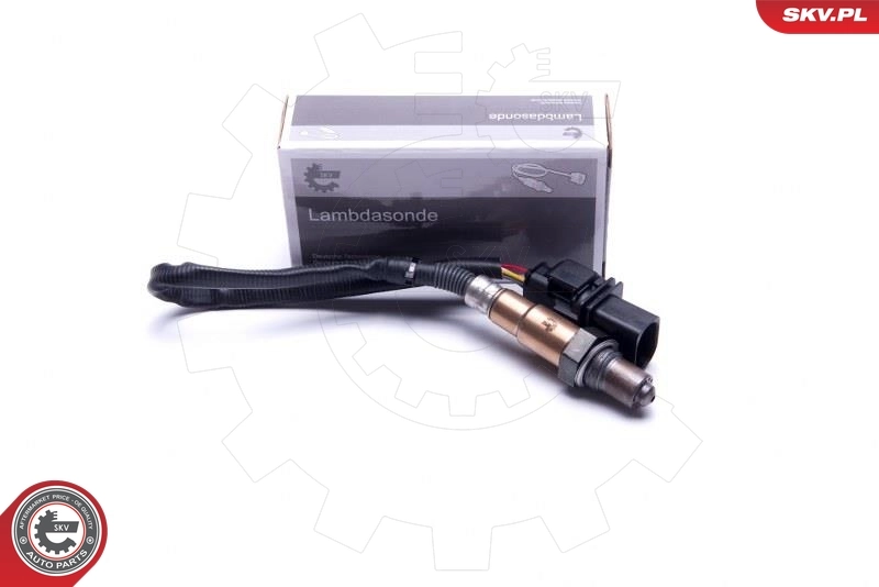 Oxygen Sensor
